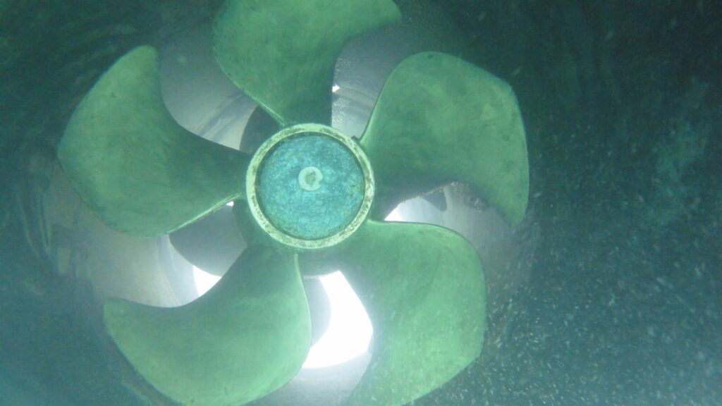 2e87d5dd-7f50-4b6d-8272-053ed87aa29e