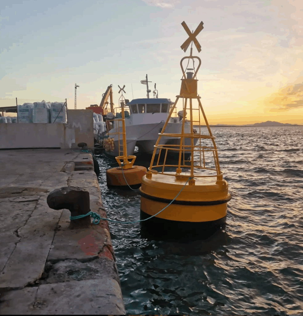 Captura de pantalla 2025-11-11 223027