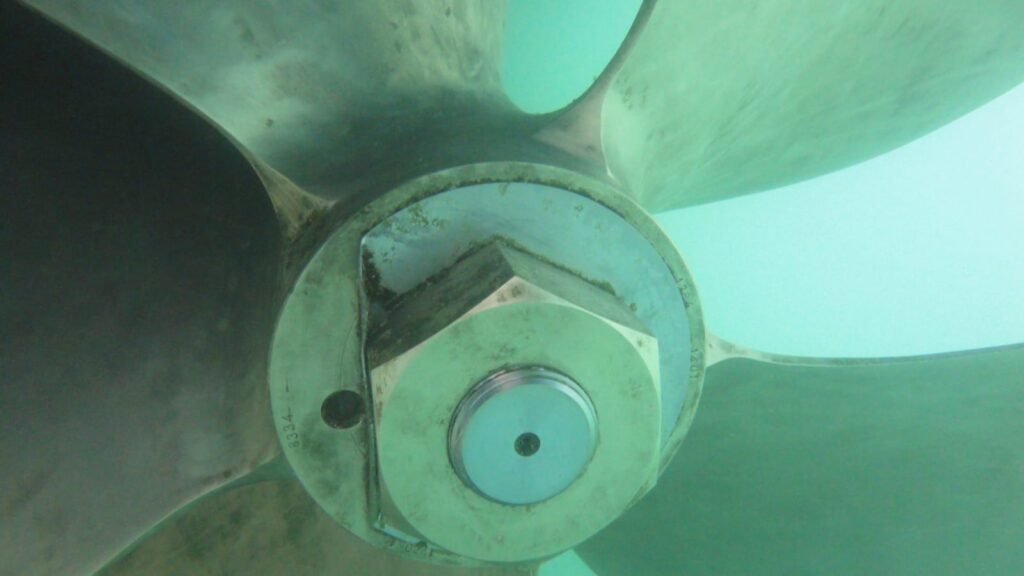 fd1d5361-bd0e-47e9-aea6-b1425cb54d2f